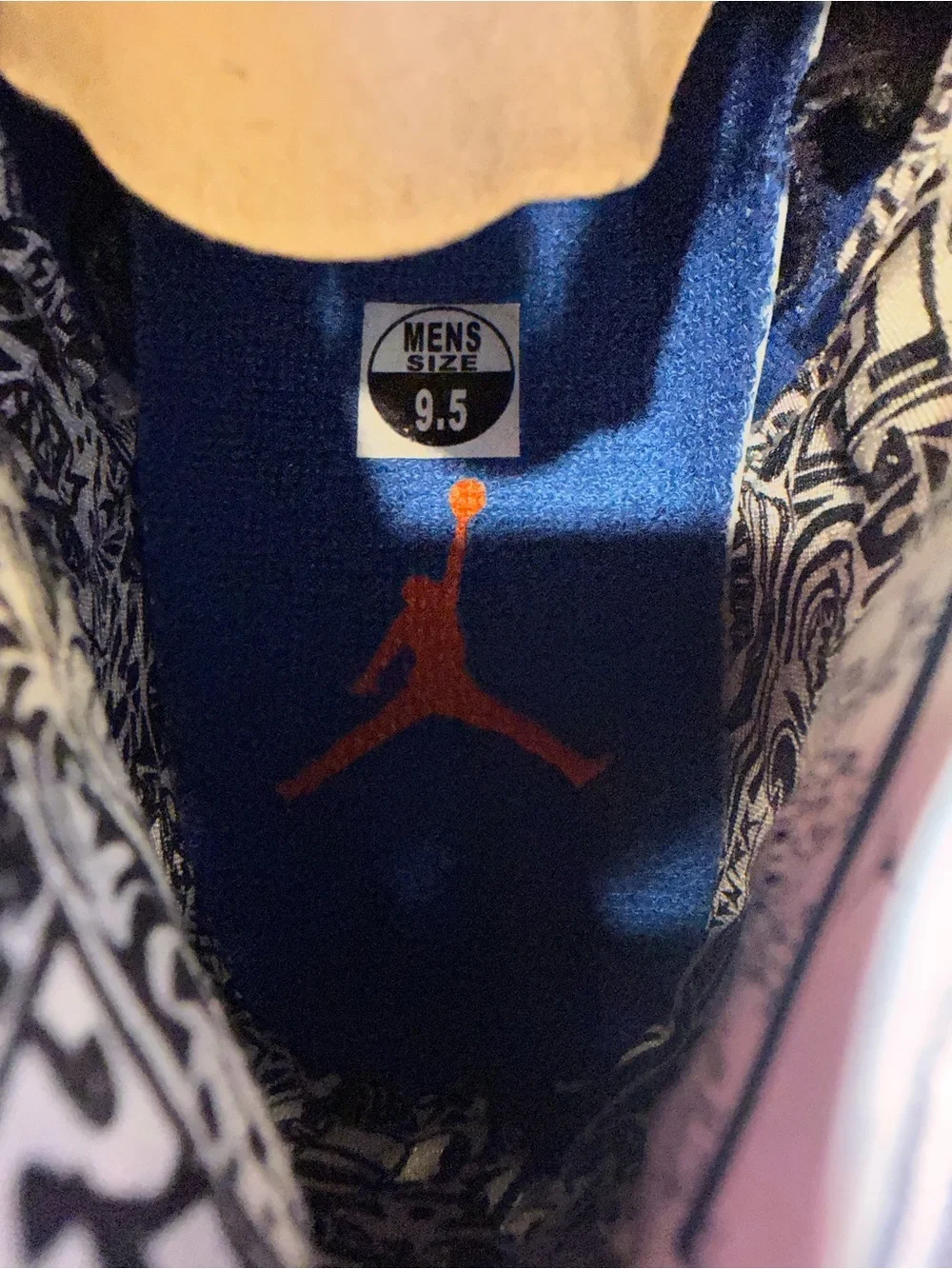 Jordan nike spizike